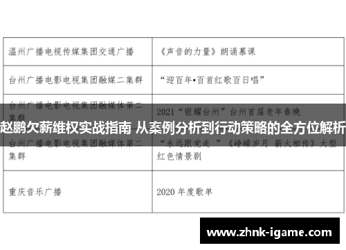 赵鹏欠薪维权实战指南 从案例分析到行动策略的全方位解析