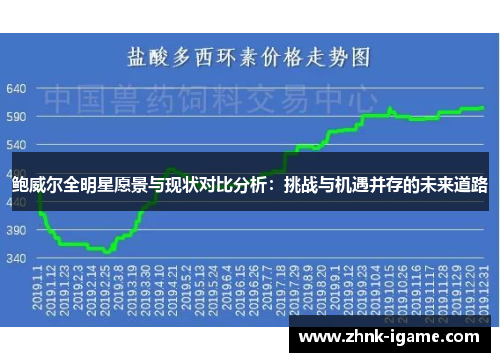 鲍威尔全明星愿景与现状对比分析：挑战与机遇并存的未来道路