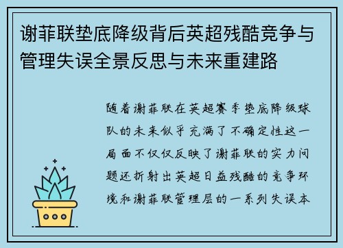 谢菲联垫底降级背后英超残酷竞争与管理失误全景反思与未来重建路